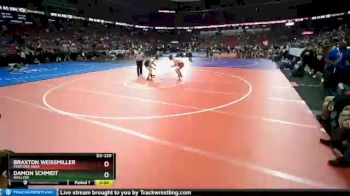 D2-220 lbs Champ. Round 1 - Braxton Weissmiller, Medford Area vs Damon Schmidt, Brillion