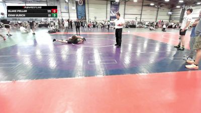 135 lbs Rr Rnd 1 - Blake Pellar, Terps Pit Bull MS vs Evan Ulrich, Ohio Gold