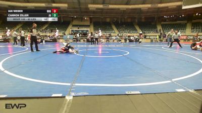80 lbs Consi Of 16 #1 - Ian Weber, Ringers vs Cannon Ziller, Alber Athletics