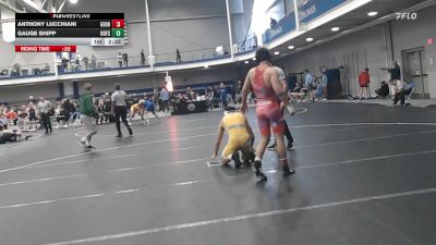 133 lbs Round Of 32 - Anthony Lucchiani, George Mason - UnAttached vs Gauge Shipp, Hofstra