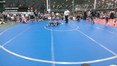 56 lbs Round 5 (6 Team) - Angelo Sanchez, Keystone Krush vs Lucas Shumate, Tri State Hammers