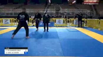 ELDER ALEXANDER CRUZ vs AMR ADEL ALI GHONEIM 2020 Pan Jiu-Jitsu IBJJF Championship