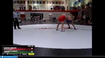 285 lbs Champ. Round 1 - Justin Wright, Belmont Abbey vs Ronnie D`Amico, Lake Erie