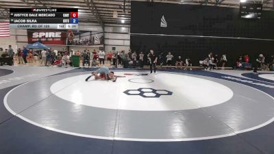 74 kg Champ. Rd Of 128 - Justyce Dale Mercado, Castleton RTC vs Jacob Silka, Charleston Regional Training Center