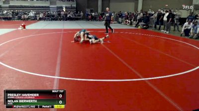 135 lbs Semifinal - Presley Havemeier, Dassel-Cokato-Litchfield vs Nolan Bierwerth, ACGC