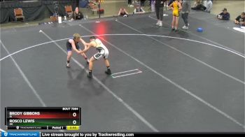 117 lbs Quarterfinal - Rosco Lewis, OK vs Brody Gibbons, IA