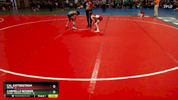 75 lbs Placement (4 Team) - Carmello Booker, Dassel-Cokato-Litchfield vs Cal Satterstrom, Rocori