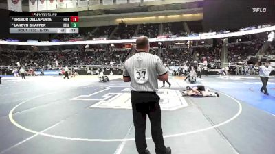 II-131 lbs 3rd Place Match - Trevor Dellapenta, Eden vs Landyn Shaffer, Deposit-Hancock