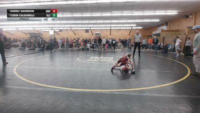 46 lbs Final - Everly Davidson, Cortland vs Codie Caldarelli, Allentown