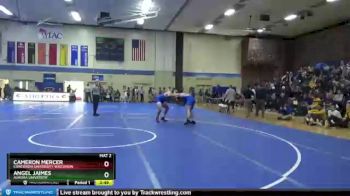 197 lbs Prelim - Cameron Mercer, Concordia University Wisconsin vs Angel Jaimes, Aurora Universtiy