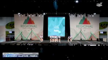 The Stingray Allstars - Pebble [2026 L1.1 Tiny - PREP Day 1] 2026 The Southeast Regional Summit