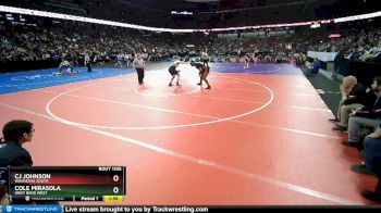 D1-285 lbs Quarterfinal - Cole Mirasola, West Bend West vs CJ Johnson, Waukesha South