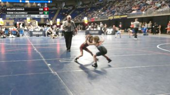 45 lbs Quarterfinal - Willow Dingle, Penncrest vs Codie Caldarelli, East Penn