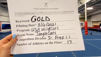 USA Wildcats [L1.1 Junior - PREP] 2021 Varsity Virtual Competition Series - Prep & Novice I