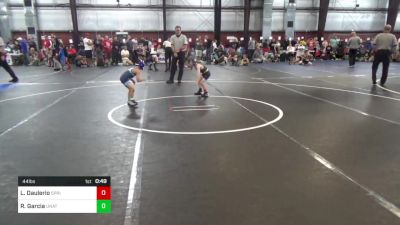 44 lbs Consi Of 8 #2 - Leo Daulerio, Springfield Delco vs Rylan Garcia, Unattached