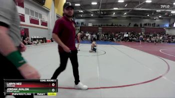 113 lbs Cons. Round 2 - Jordan Avalon, Spring Valley vs Laryn Nez, Winslow