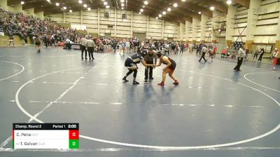 190 lbs Champ. Round 2 - Teresa Galvan, Olathe vs Cozette Pena, Uintah