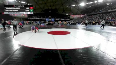 Boys 4A 113 lbs Cons. Round 2 - Teague Meagher, Kamiakin vs Amaleki Hanes, Sumner