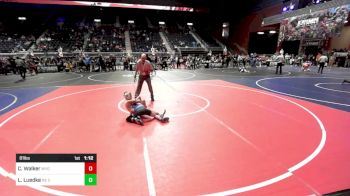 81 lbs Round Of 16 - Cooper Walker, Wyoming Underground vs Link Luedke, NE CO Elite