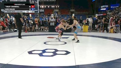 113 lbs Champ. Rd Of 64 - Riley Crandall, Pennsylvania vs Luke Walsh, Iowa