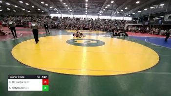 113 lbs Quarterfinal - Genaro De La Garza, SC vs Alex Schaeublin, MA