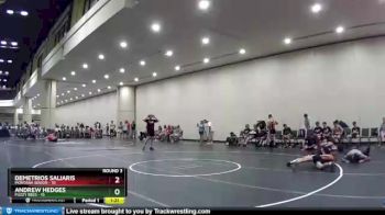 138 lbs Round 3 (8 Team) - Andrew Hedges, Fuzzy Bees vs Demetrios Saliaris, Montana Senior