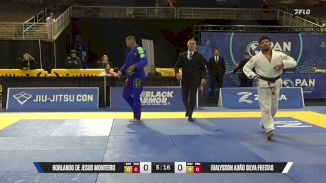 Gialysson Adão Silva Freitas vs Horlando De Jesus Monteiro 2026 Pan Jiu Jitsu IBJJF Championship