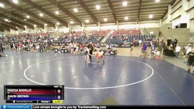 135 lbs Quarterfinal - Makoa Badillo, FL vs Gavin Brown, IN