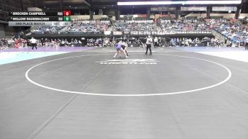 135 lbs 3rd Place Match - Willow Rademacher, Basehor-Linwood HS vs Brecken Campbell, Pittsburg HS