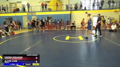 175 lbs Round 3 - Cayden Mcelgunn, Dodge City Training Center vs Blayre Cline, Kansas