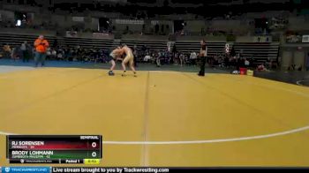 130 lbs Semis & 1st Wrestleback (8 Team) - RJ Sorensen, Minneota vs Brody Lohmann, Zumbrota-Mazeppa