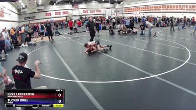 87 lbs Cons. Semi - Bryx Leichleiter, Nebraska Boyz vs Tucker Brill, Hawk