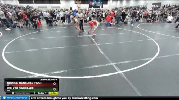 110 lbs Champ. Round 1 - Walker Gaulrapp, MN vs Hudson Henschel-Paar, WI