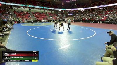 D3-215 lbs Quarterfinal - Axel Tegels, Cadott vs Zach Hellendrung, Boyceville