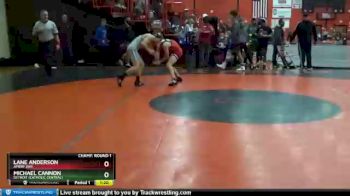 113 lbs Champ. Round 1 - Lane Anderson, AMERY (WI) vs Michael Cannon, Detroit (CATHOLIC CENTRAL)