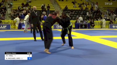 MICHAEL HAGL vs AARON MICHAEL ARD 2024 Master International IBJJF Jiu-Jitsu North American Championship