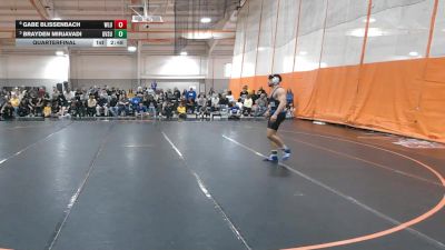 197 lbs Quarterfinal - Brayden Mirjavadi, Grand Valley State vs Gabe Blissenbach, West Liberty