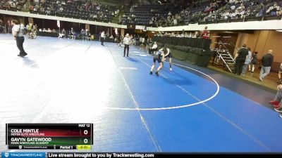 110 lbs Cons. Round 2 - Cole Mintle, Moyer Elite Wrestling vs Gavyn Gatewood, Moen Wrestling Academy