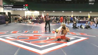 126 lbs Consi Of 128 #2 - Kaiden Dahle, NC vs Eli Herring, PA