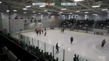 Replay: Home - 2024 Fort Erie vs Pelham | Dec 15 @ 2 PM