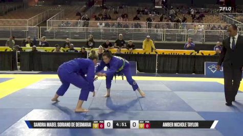 Amber Nichole Taylor vs Sandra Mabel Soriano De Desmarai 2025 Pan Jiu Jitsu IBJJF Championship