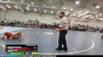 165 lbs Champ. Round 3 - Walker Hayman, Loveland vs Andre Cruz, Coronado