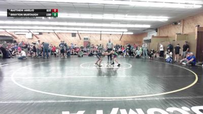 78 lbs Quarterfinal - Matthew Amelio, North Coldwell vs Brayton Murtaugh, Lowville
