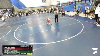 45 lbs Quarterfinal - Keagan Sanchez, Sanderson Wrestling Academy vs Harvey Jones, Team Prestige