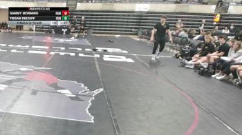 172 lbs Finals (8 Team) - Tiegan Deltaff, Perham, MN vs Sammy Mormino, Park Hill, MO