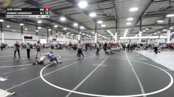 126 lbs Round Of 32 - Alex Curtis, Dominate Club Wrestling vs Dominic Hasbrouck, No Team