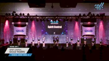 Spirit Central - Gold Tigers [2023 L1 Junior - Small - A Day 3] 2023 Spirit Fest Grand Nationals