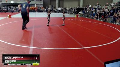 50 lbs Quarterfinals (8 Team) - Vincent Warzecha, LPGE/B Wolves vs Gabe Mistic, Bemidji
