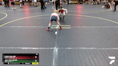 46 lbs Round 1 (6 Team) - Jax Hallihan, Ares Black vs Liam Miller, Ragin Raisins WC