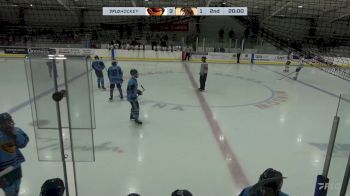 Replay: Home - 2024 Thrashers U18 AAA vs Pembina U18 AAA | Nov 8 @ 8 PM